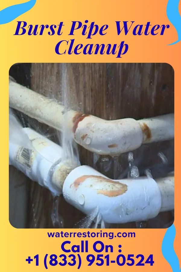 Burst Pipe Water Cleanup in Oronoque, CT