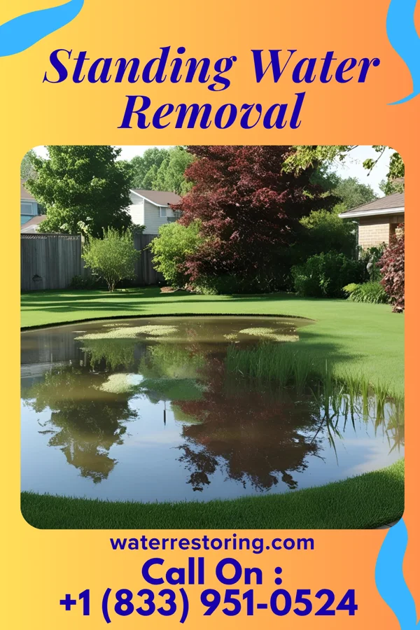 Standing Water Removal in Oronoque, CT